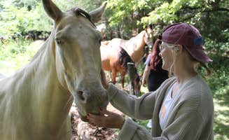 Kamryn C.'s photo of camping with a horse at Cades Cove Campground near Nantahala National Forest
