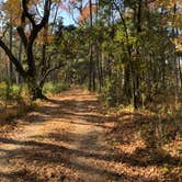 Review photo of Santee Coastal Reserve by Sam S., December 11, 2021