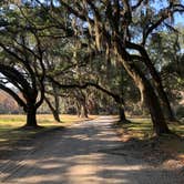 Review photo of Santee Coastal Reserve by Sam S., December 11, 2021