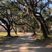 Review photo of Santee Coastal Reserve by Sam S., December 11, 2021