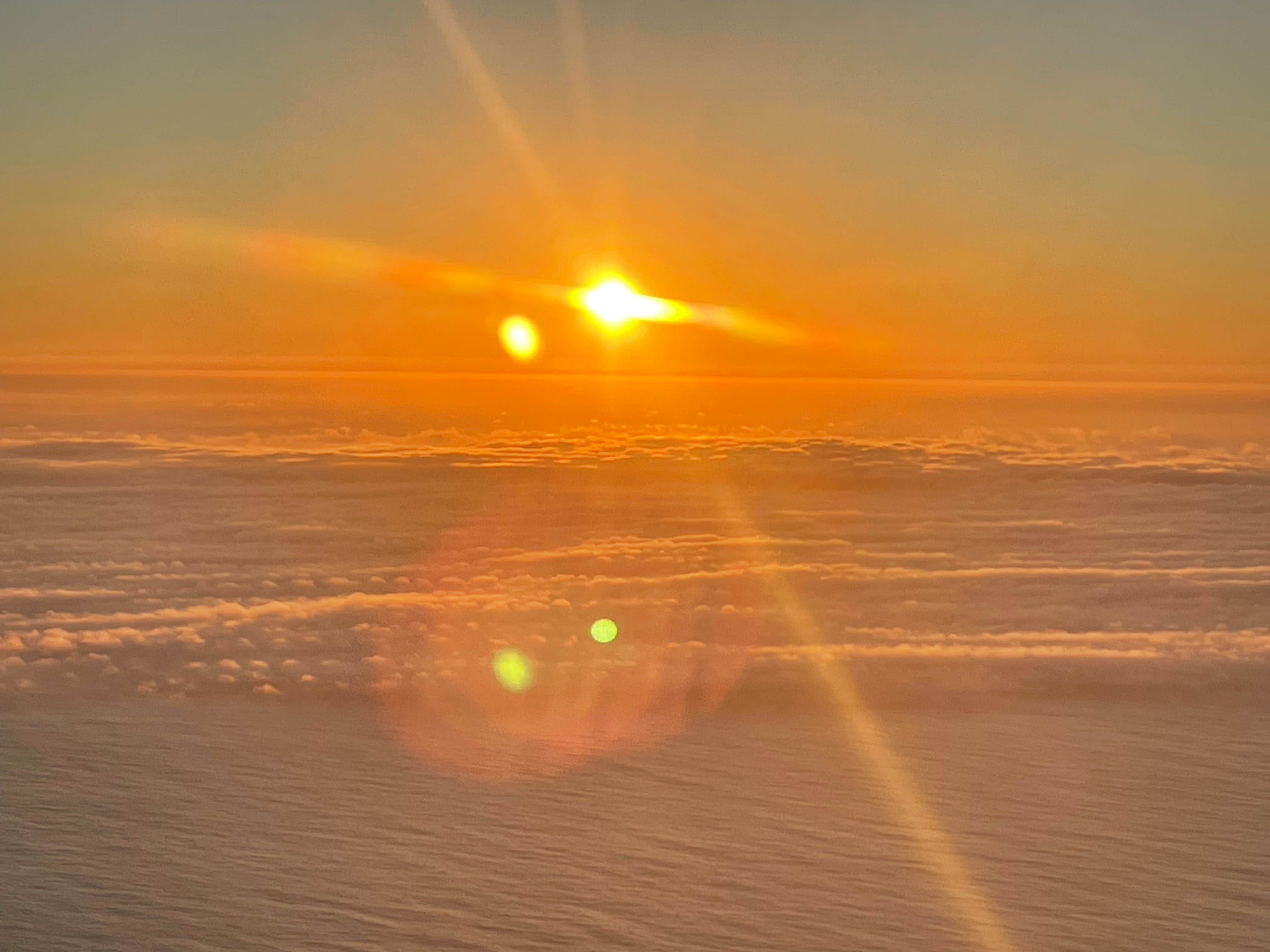 Alicia's photo of a dispersed camping area at Will Creek Road Dispersed near Jolon, CA