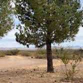 Review photo of Desert Oasis Campground by Henry , December 11, 2021