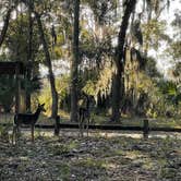 Review photo of Fort McAllister State Park Campground by Nicholas S., December 11, 2021