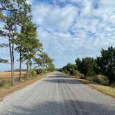 Review photo of Fort McAllister State Park Campground by Nicholas S., December 11, 2021