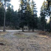 Review photo of Forest Rd 568 Dispersed by Mitchell M., December 11, 2021