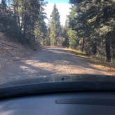 Review photo of Forest Rd 568 Dispersed by Mitchell M., December 11, 2021