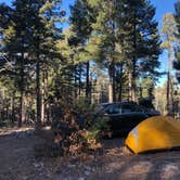 Review photo of Forest Rd 568 Dispersed by Mitchell M., December 11, 2021