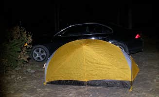Mitchell M.'s photo of a dispersed camping area at Forest Rd 568 Dispersed near Alamogordo, NM