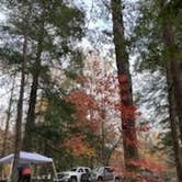 Review photo of Elkmont Campground — Great Smoky Mountains National Park by Steve L., April 25, 2021