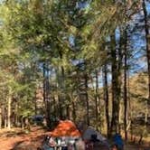 Review photo of Elkmont Campground — Great Smoky Mountains National Park by Steve L., April 25, 2021