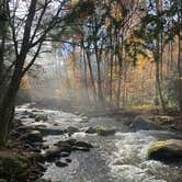 Review photo of Elkmont Campground — Great Smoky Mountains National Park by Steve L., April 25, 2021