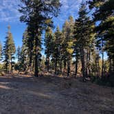 Review photo of Forest Road 568 - Dispersed Camping by Mitchell M., December 11, 2021