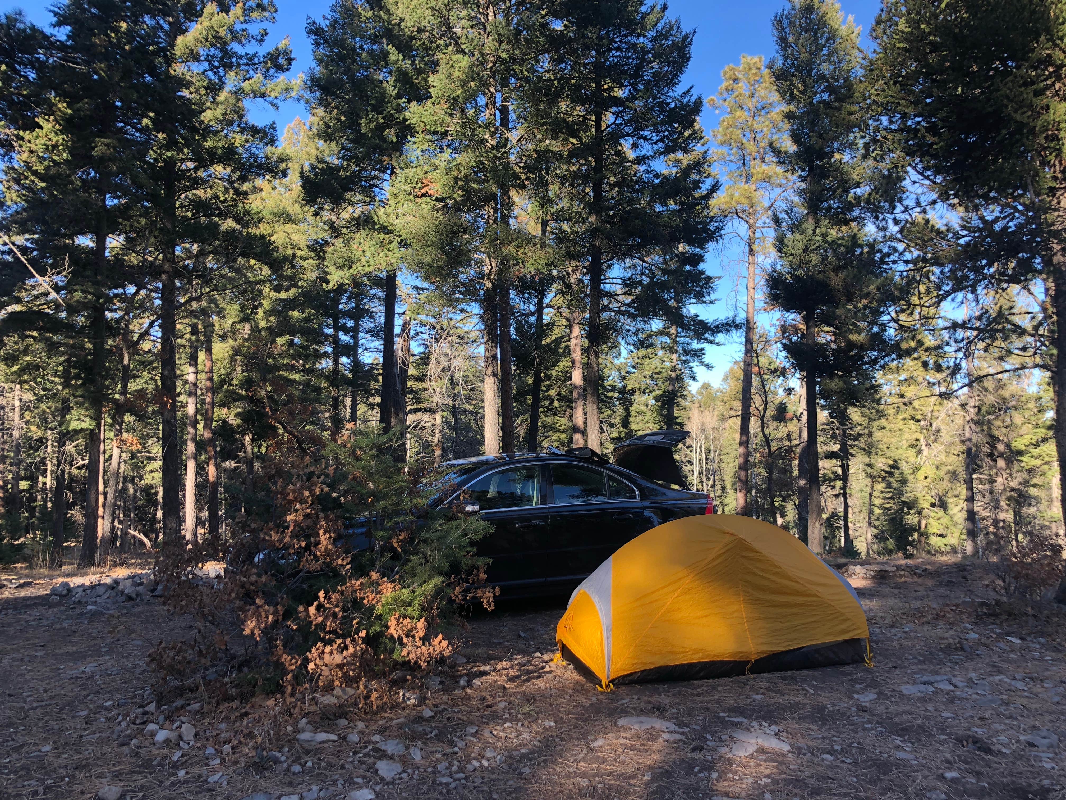 Camper-submitted photo at Forest Road 568 - Dispersed Camping near Lincoln National Forest