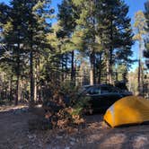 Review photo of Forest Road 568 - Dispersed Camping by Mitchell M., December 11, 2021