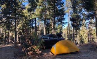 Mitchell M.'s photo of a dispersed camping area at Forest Road 568 - Dispersed Camping near Nogal, NM