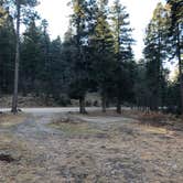 Review photo of Forest Road 568 - Dispersed Camping by Mitchell M., December 11, 2021