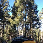 Review photo of Forest Road 568 - Dispersed Camping by Mitchell M., December 11, 2021