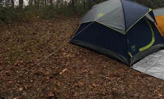 Camping near Big Oak RV Park: High Bluff - Joe Budd WMA and Lake Talquin State Forest, Midway, Florida