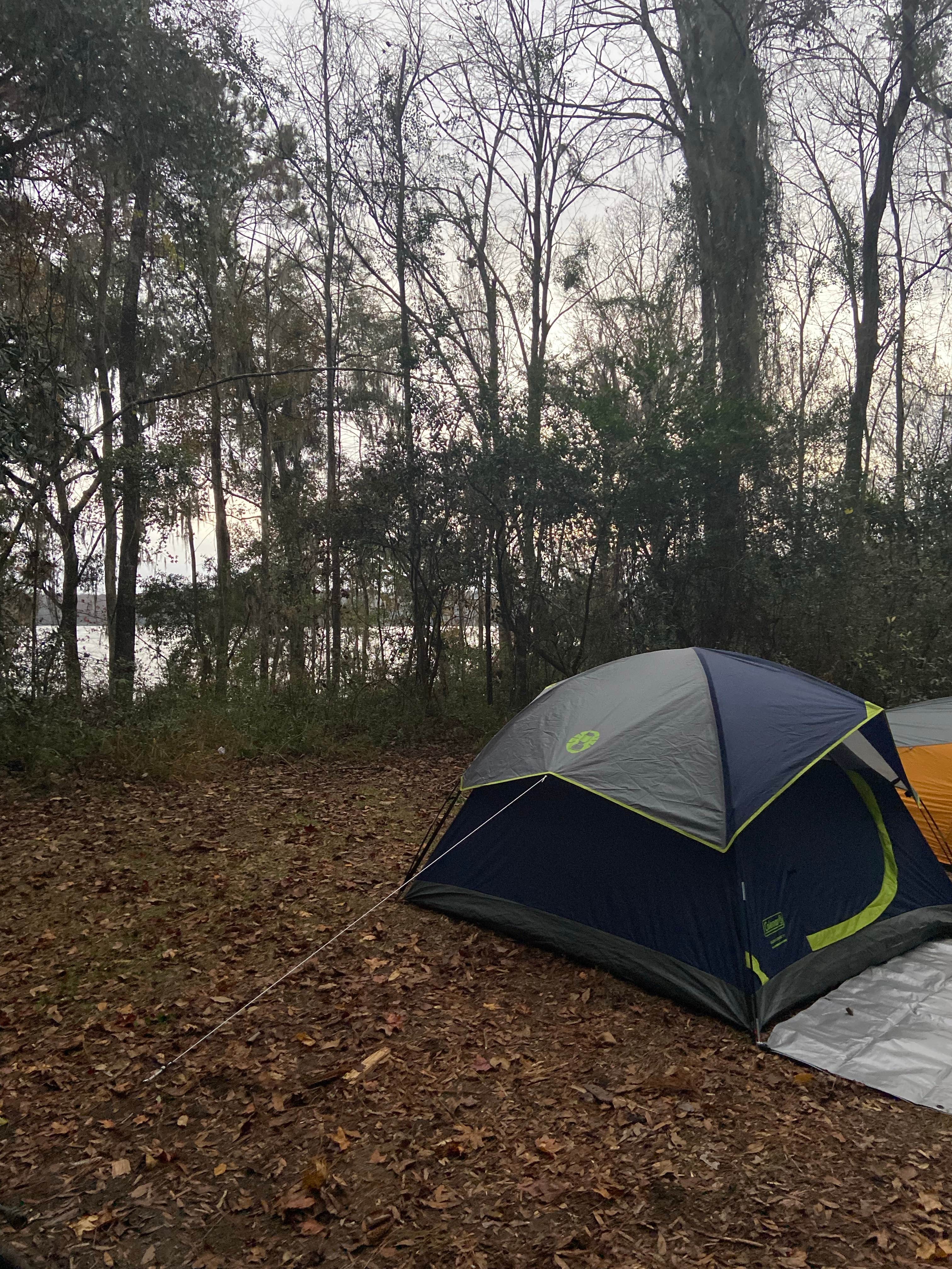 Camper submitted image from High Bluff - Joe Budd WMA and Lake Talquin State Forest - 1