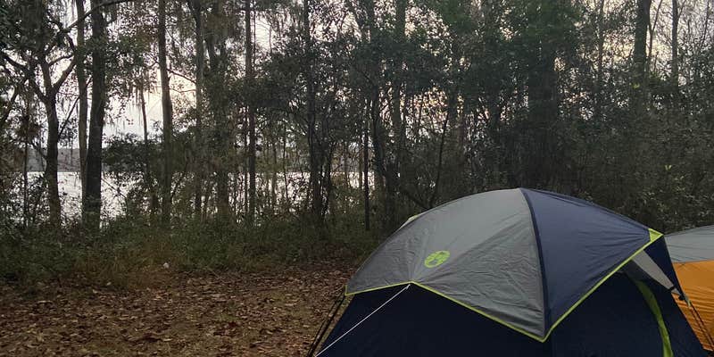 Camper submitted image from High Bluff Campground — Joe Budd WMA and Lake Talquin State Forest
