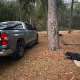 Review photo of High Bluff - Joe Budd WMA and Lake Talquin State Forest by kaitlyn L., December 11, 2021