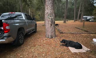 kaitlyn L.'s photo of camping with pets at High Bluff Campground — Joe Budd WMA and Lake Talquin State Forest near Monticello, FL