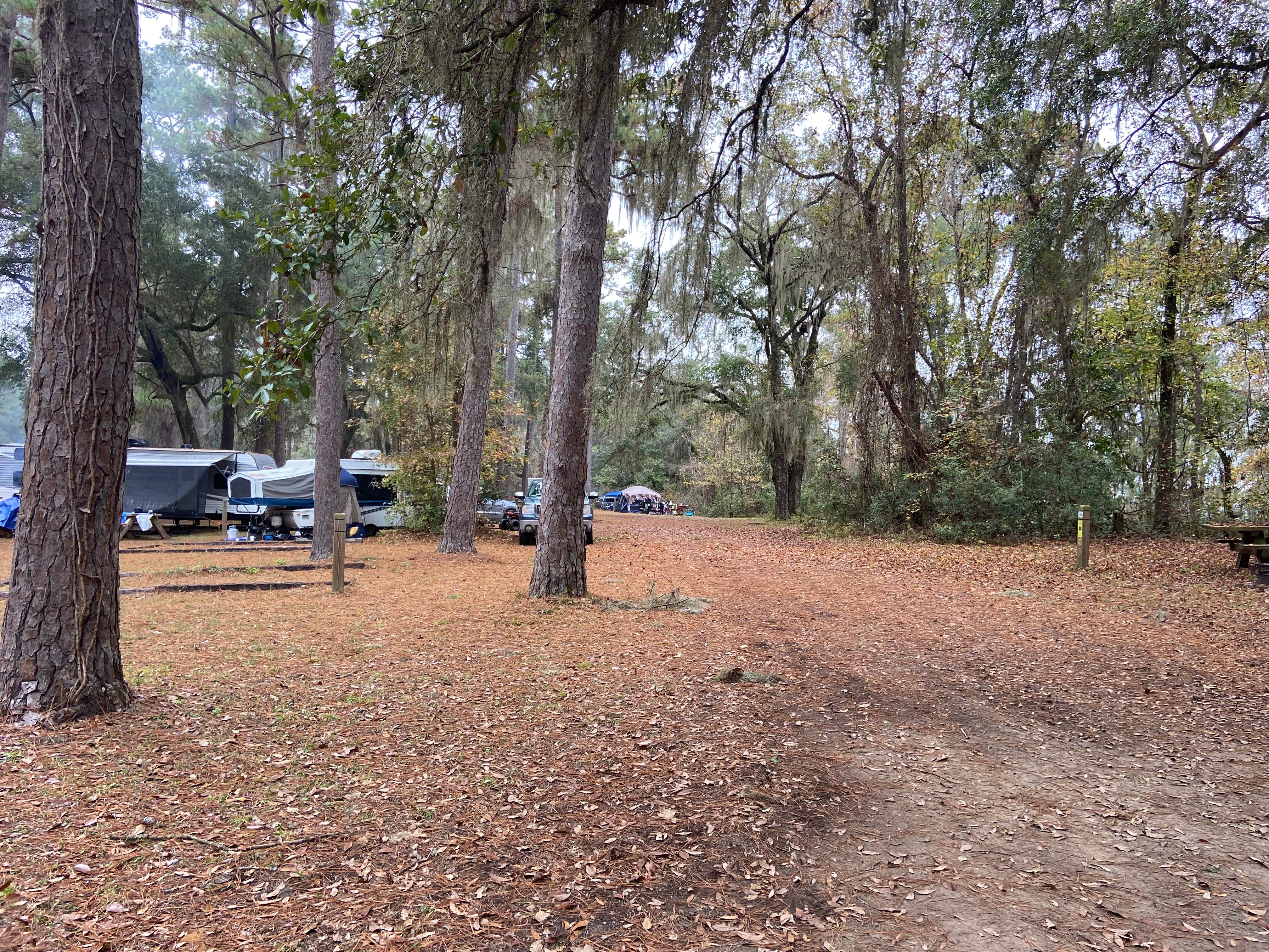 kaitlyn L.'s photo at High Bluff Campground — Joe Budd WMA and Lake Talquin State Forest near Tallahassee, FL
