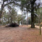 Review photo of High Bluff - Joe Budd WMA and Lake Talquin State Forest by kaitlyn L., December 11, 2021
