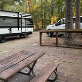 Review photo of South Campground — Chicot State Park by David B., December 11, 2021