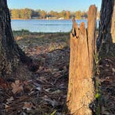 Review photo of Jimmie Davis State Park by David B., December 11, 2021