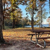 Review photo of Jimmie Davis State Park Campground by David B., December 11, 2021