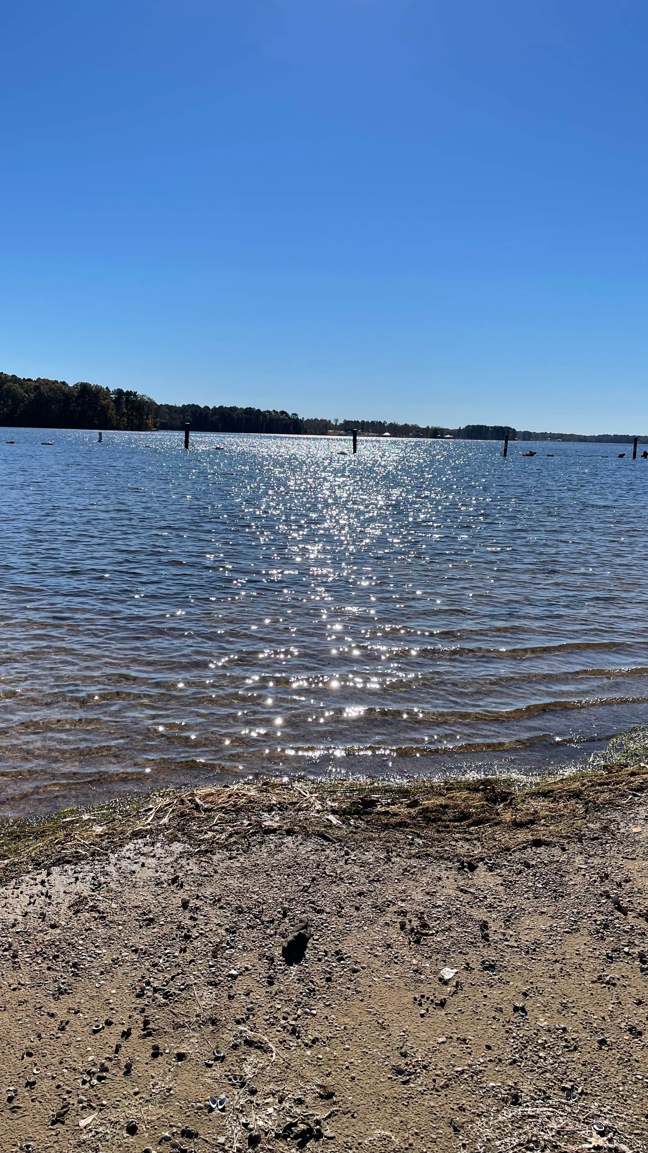 Jimmie Davis State Park Campground | Chatham, LA