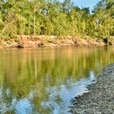 Review photo of Bogue Chitto State Park Campground by David B., December 11, 2021