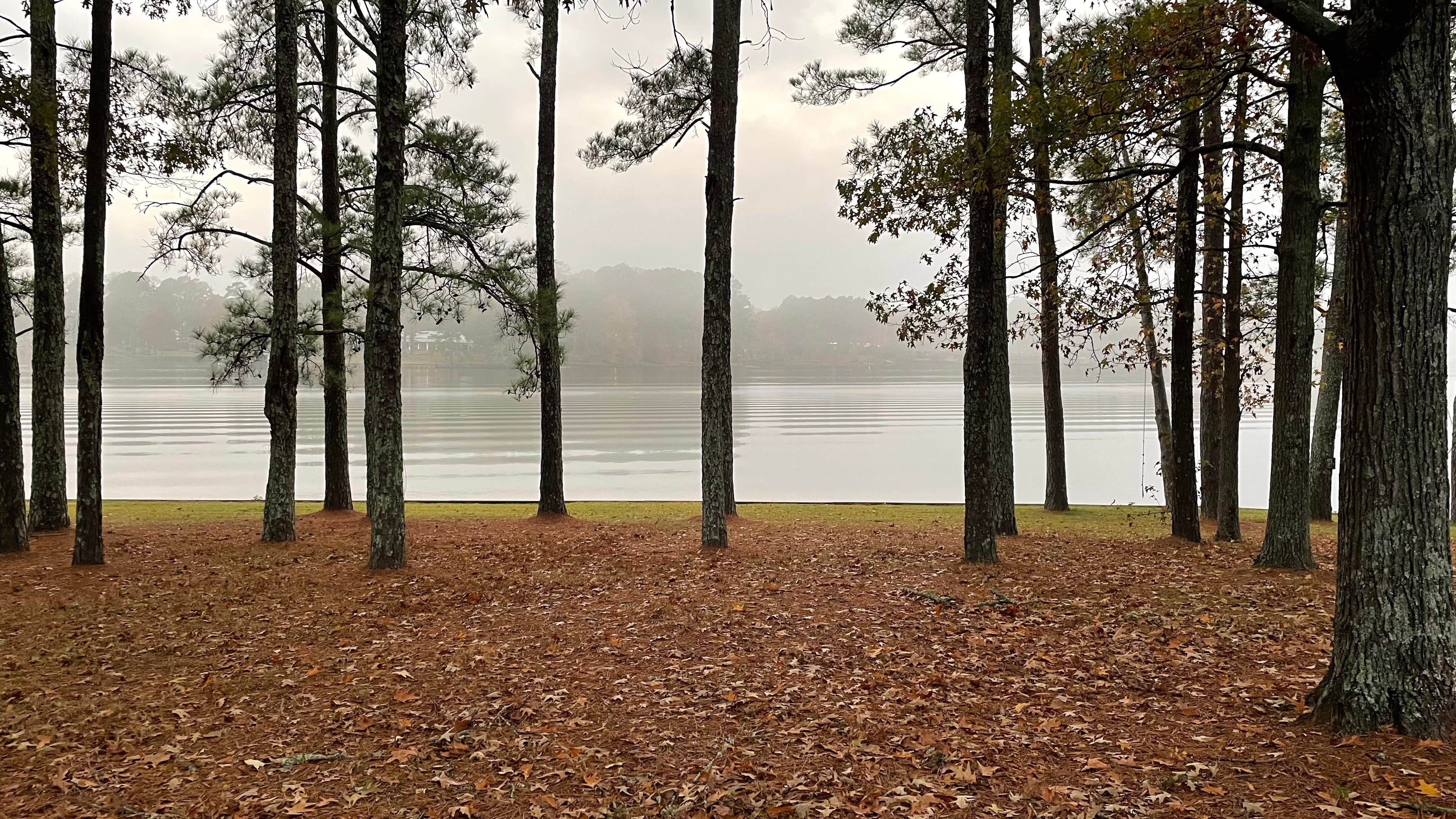 Camper-submitted photo at Nakatosh Campground #2 near Natchitoches, LA