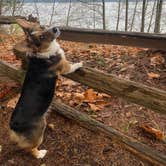 Review photo of Scenic Beach State Park Campground by Brooke&Matthew S., December 11, 2021