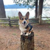 Review photo of Scenic Beach State Park Campground by Brooke&Matthew S., December 11, 2021