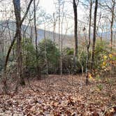 Review photo of Black Rock Mountain State Park Campground by Lisa D., December 12, 2021