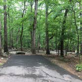 Review photo of Pilot Mountain State Park Campground — Pilot Mountain State Park by Shannon C., July 8, 2018