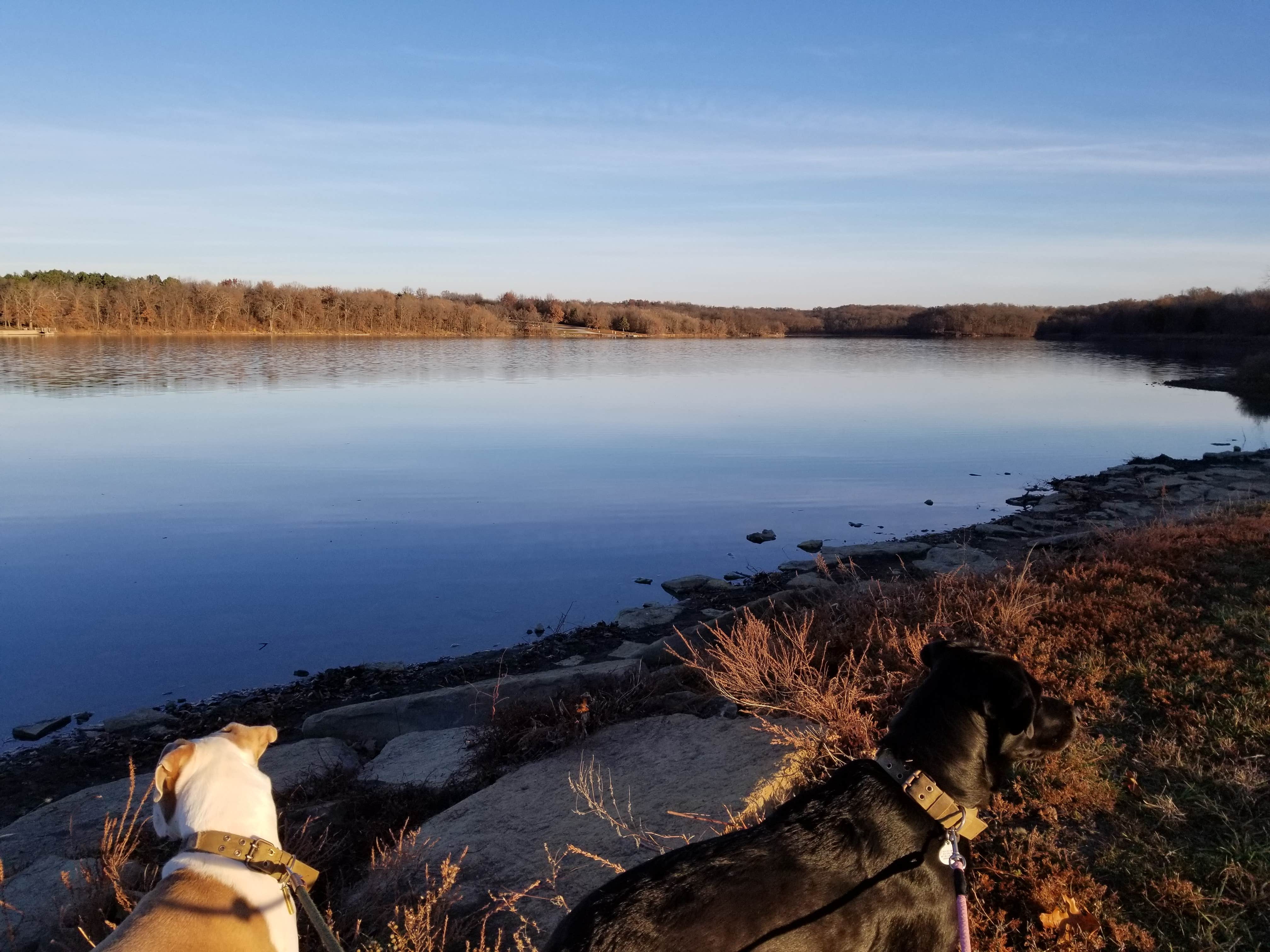 gary H.'s photo of camping with pets at Watkins Mill State Park Campground near Weston, MO