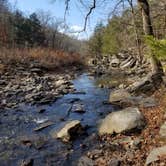 Review photo of Devil's Den State Park Campground by gary H., December 12, 2021