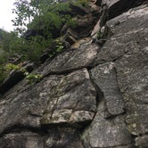 Review photo of Pilot Mountain State Park Campground — Pilot Mountain State Park by Shannon C., July 8, 2018