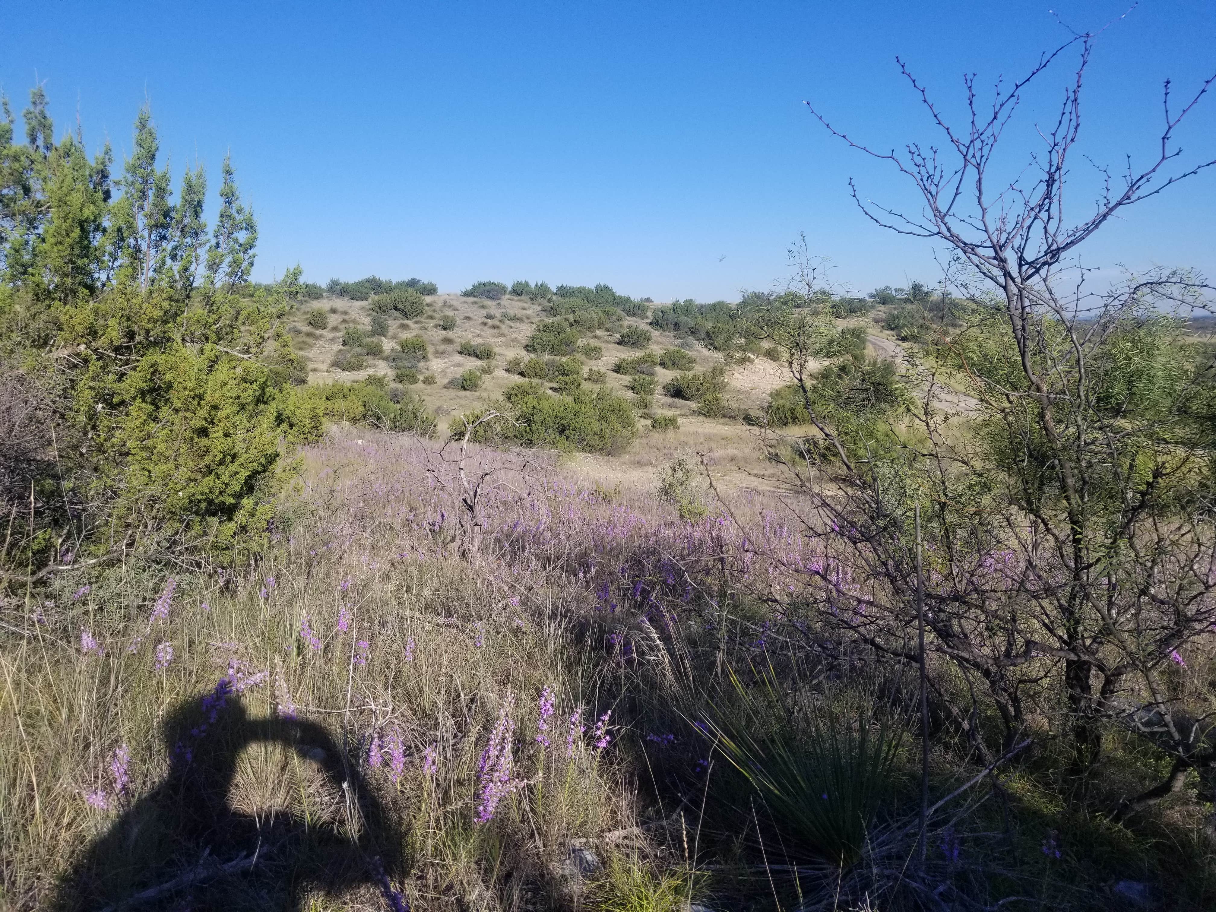 Camper-submitted photo at Chaparral — San Angelo State Park near San Angelo, TX