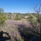 Review photo of Chaparral — San Angelo State Park by gary H., December 12, 2021