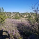 Review photo of North Concho — San Angelo State Park by gary H., December 12, 2021