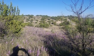 Camping near Red Arroyo Campground: Chaparral — San Angelo State Park, San Angelo, Texas