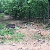 Review photo of Pilot Mountain State Park Campground — Pilot Mountain State Park by Shannon C., July 8, 2018