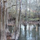 Review photo of Lynches River County Park by Thunderroad 5., December 12, 2021