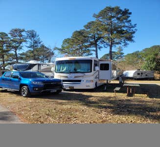 Camper-submitted photo from Charleston KOA