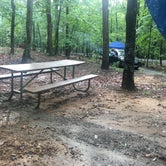 Review photo of Pilot Mountain State Park Campground — Pilot Mountain State Park by Shannon C., July 8, 2018