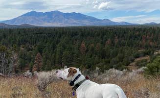 Scott K.'s photo of camping with pets at Coconino Forest Road 9125F near Cameron, AZ